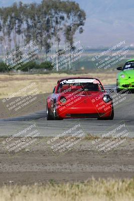 media/May-03-2024-PCA Central Coast (Fri) [[eaa7da0ee1]]/Red Group/Session 1 (Grapevine)/